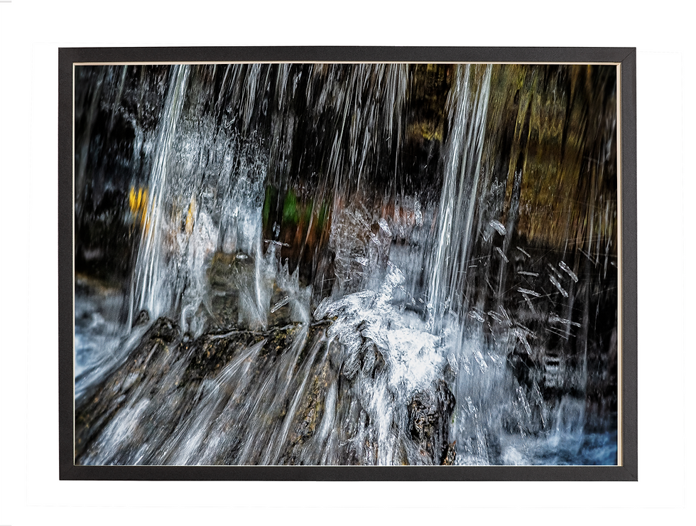 Miniatura: Jardim Tátil 11