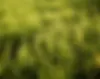09 copiar.webp