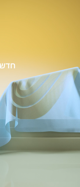 Menorah_logo_loops (0-04-32-07).png