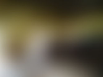 Lecture on Snake Bite Care