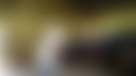 Lecture on Snake Bite Care