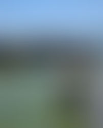 Study trip to Kasenyi Landing Site