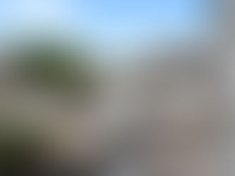 Discover the Ultimate Rooftop Townhomes in Downtown Raleigh