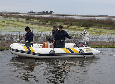 CIPS -DCVG EN ZONAS INUNDADAS