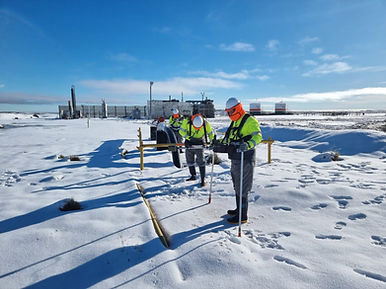 CIPS - DCVG - MEMORIA MAGNETICA