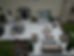 IMG_1224.jpeg