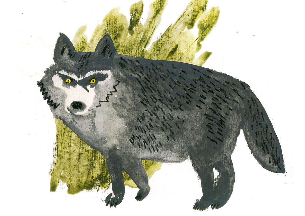 WOLF