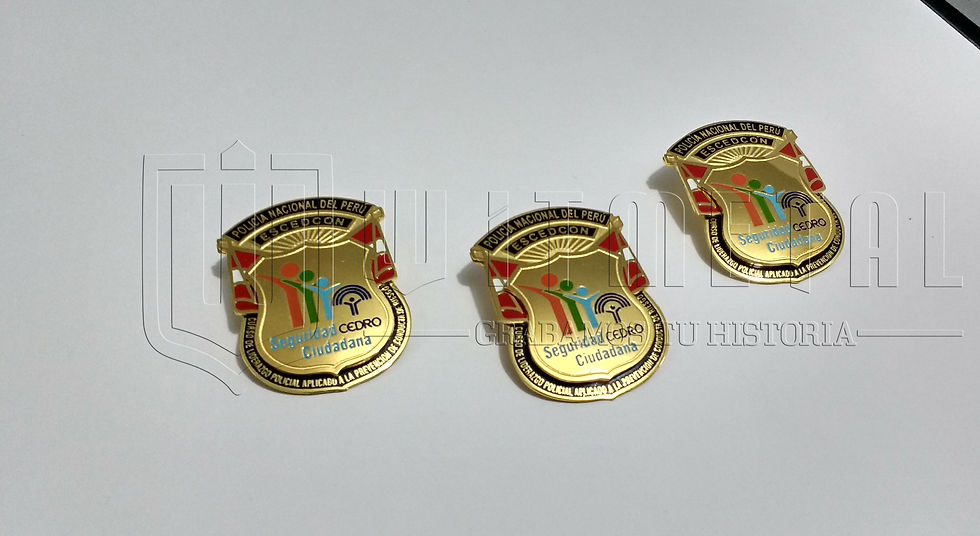Miniatura: Divisas PNP