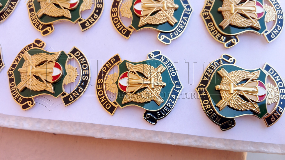Miniatura: Divisas PNP