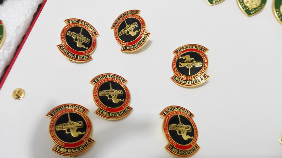 Miniatura: Divisas PNP