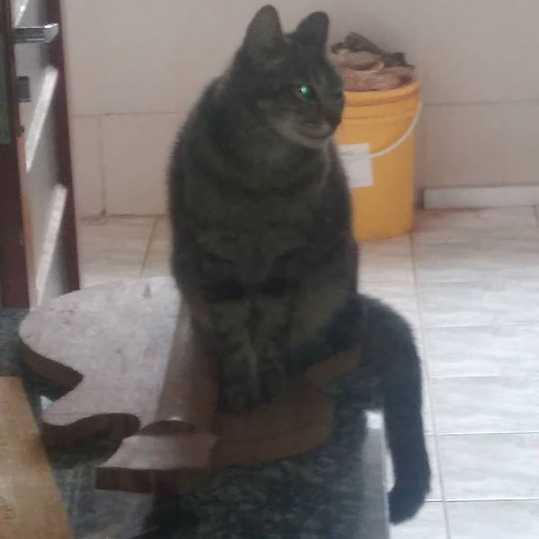 Está se achando a dona da guita!!!!.jpg