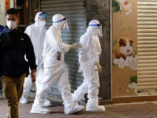 SACRIFICARÁN A 2.000 ANIMALES PEQUEÑOS EN HONG KONG