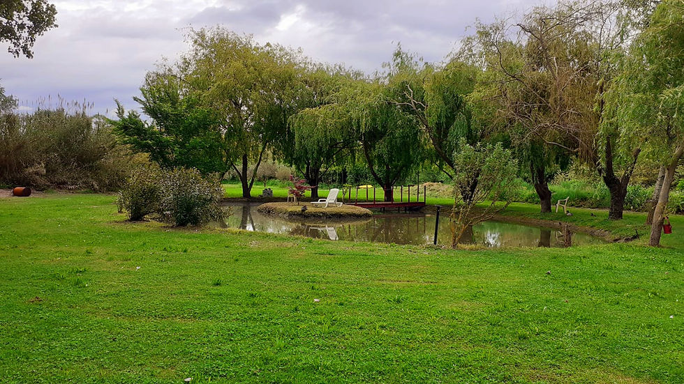 jardin