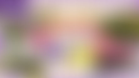 【十八區親子遊】深水埗最啱賞花 春秋季必到