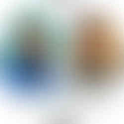 hair transplant results delhi