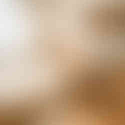 我們特別注重選用優質天然木材，讓其細膩紋理與溫潤色調為空間注入沉穩而清新的氛圍。透過訂造低矮木質傢俬，搭配適度點綴的枯木與綠植，不僅增添自然藝術氣息，更完美詮釋 Japandi「少即是多」的侘寂精神。