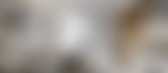 大膽改造・極簡未來輕奢風