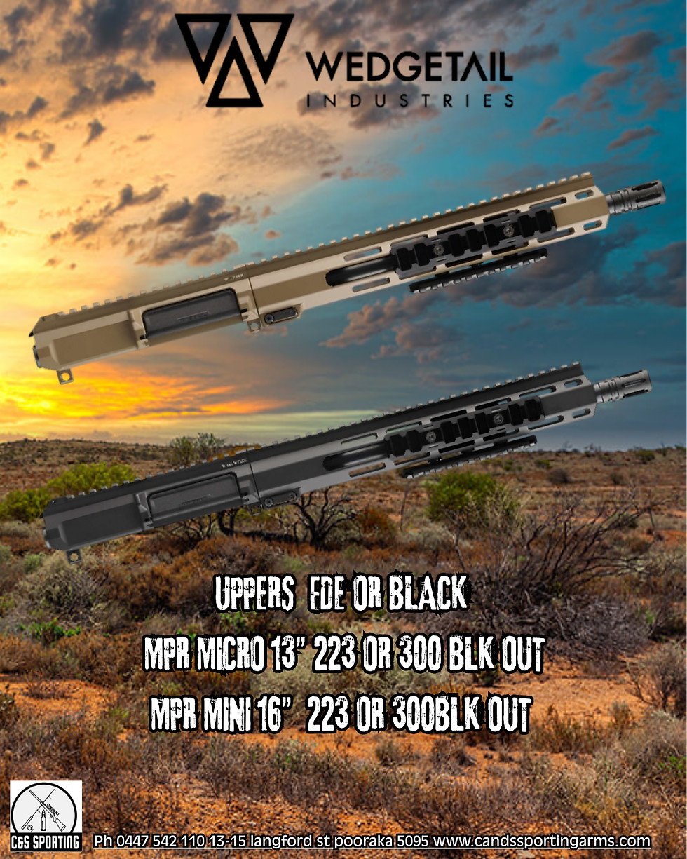 wedgetail Separate Upper – MPR Micro- MINI 223/300BLK OUT FDE OR BLK