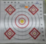 12"X12" SIGHT IN GRID TARGET WHITE 10 PACK