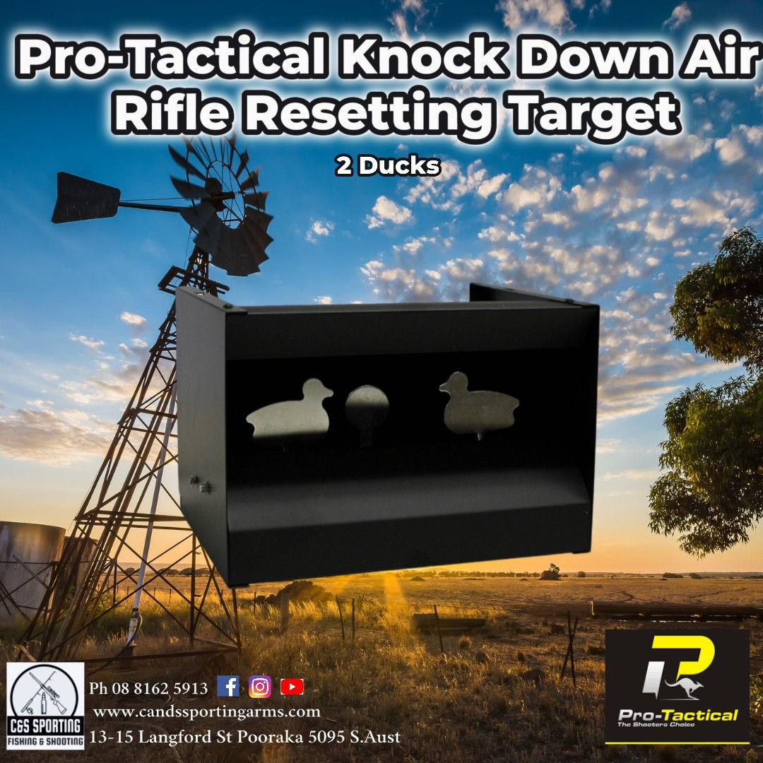 MAX-TARGET KNOCK DOWN RESETTING TARGET - 2 DUCKS