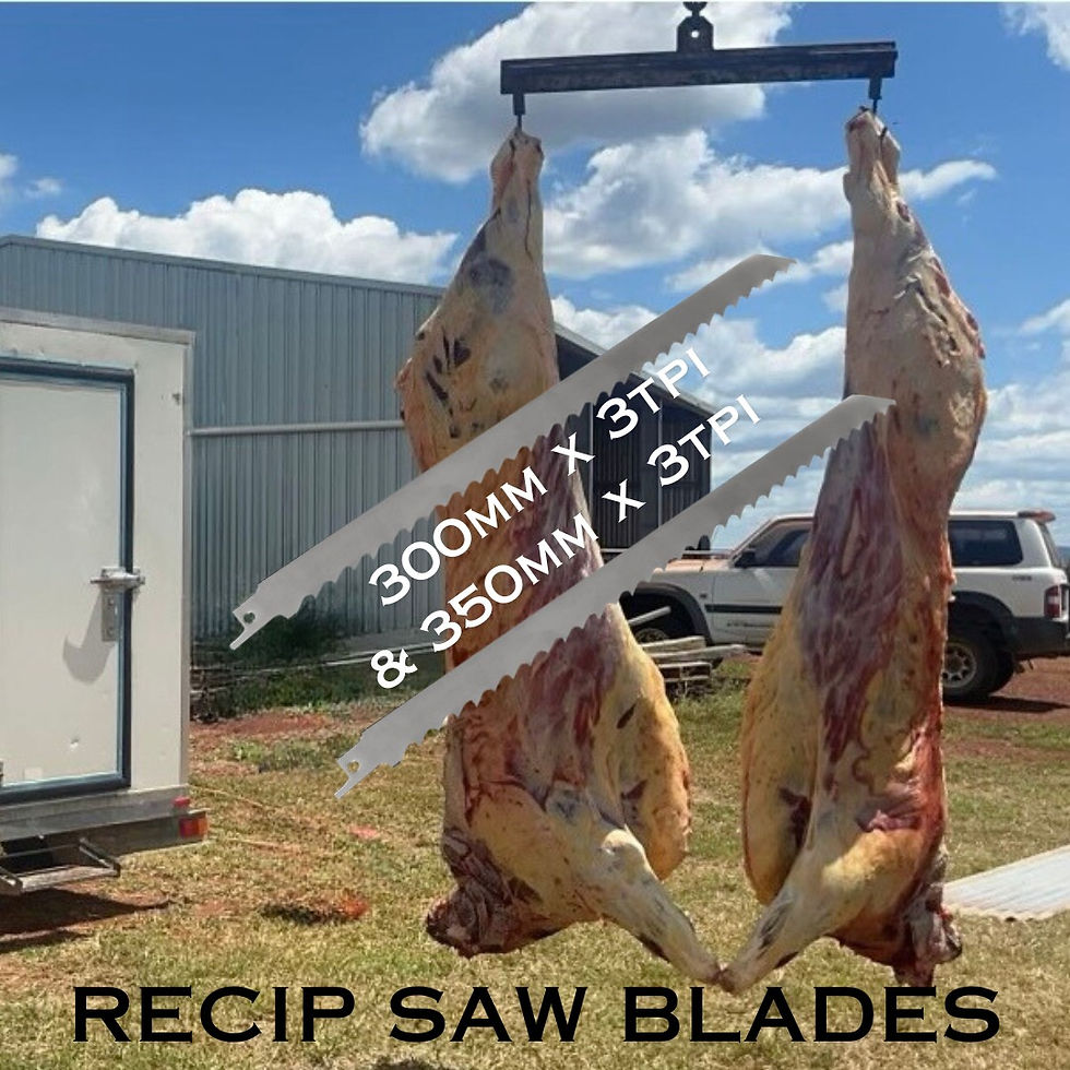 Carnivore Collective Reciprocating Saw Blades 300mm2 Pack