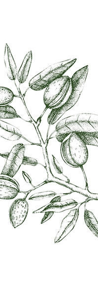 Fruit Branch_edited_edited.png