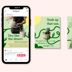 "Zen Succulents" Social Media Post/Carousel