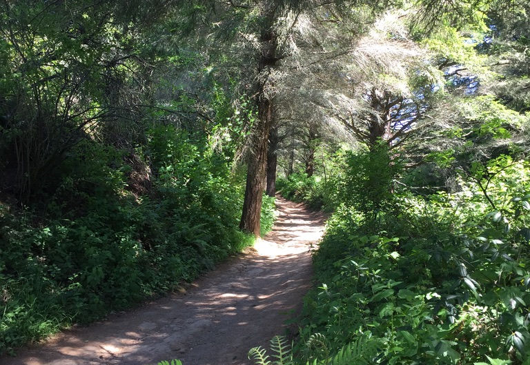 Tips to Make Your Next Adventure Your Best Adventure 