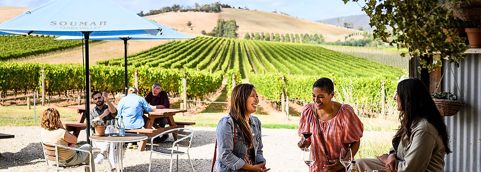 yering-farm-wines_YV_R_170418-19_1150x863.jpg