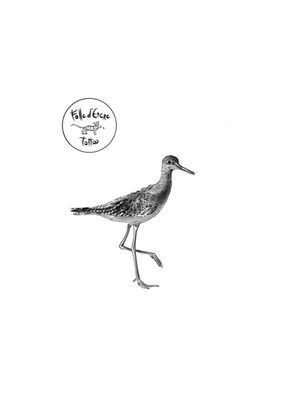 Tatouage d'oiseau, bird tattoo, microréalisme, microrealist tattoo