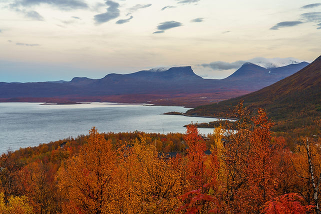Autumn season in Abisko with Lapporten in background, taken from Björkliden, Swedish Lapla