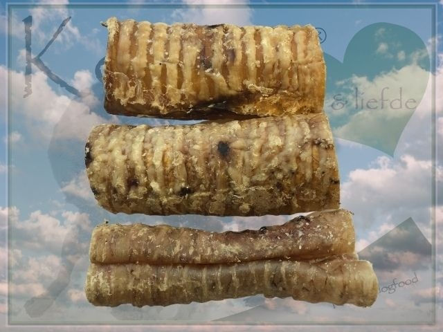 Kalfsluchtpijp 15cm