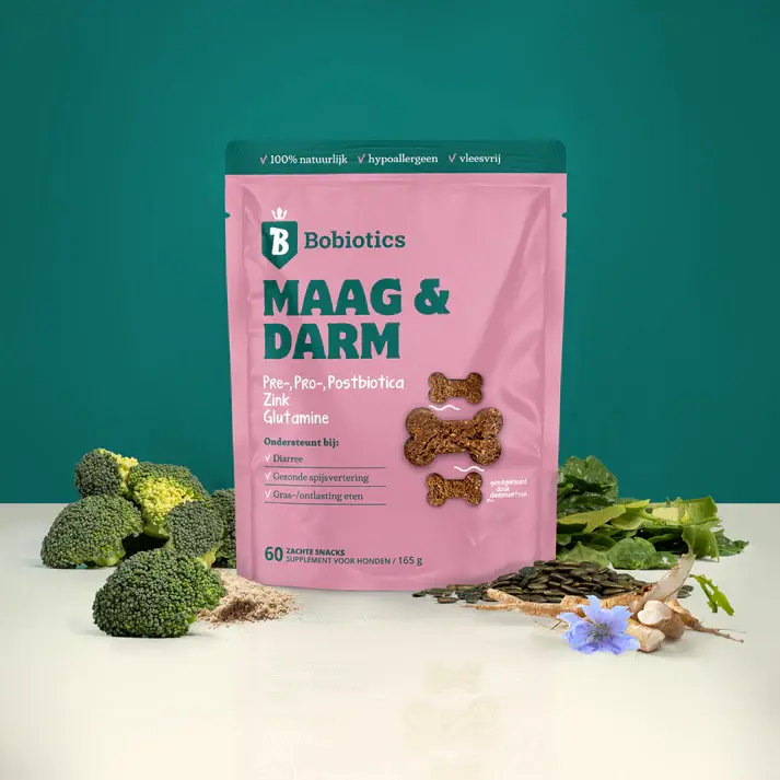 Thumbnail: Maag & Darm Supplement