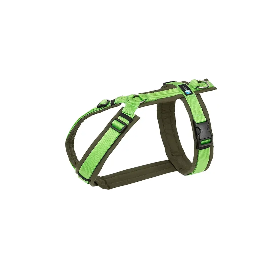 Thumbnail: AnnyX Harness Fun