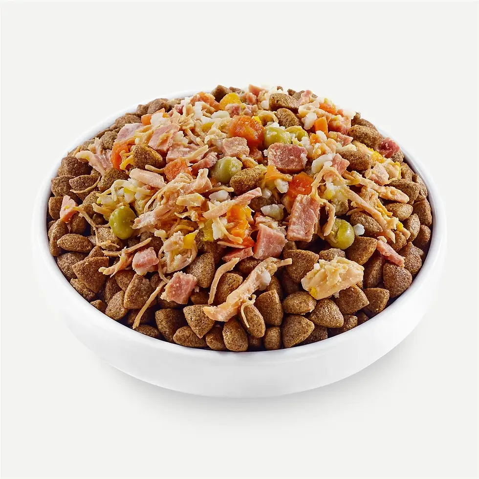 Applaws DOG TASTE TOPPERS Chicken with Ham in Broth 156 gr.