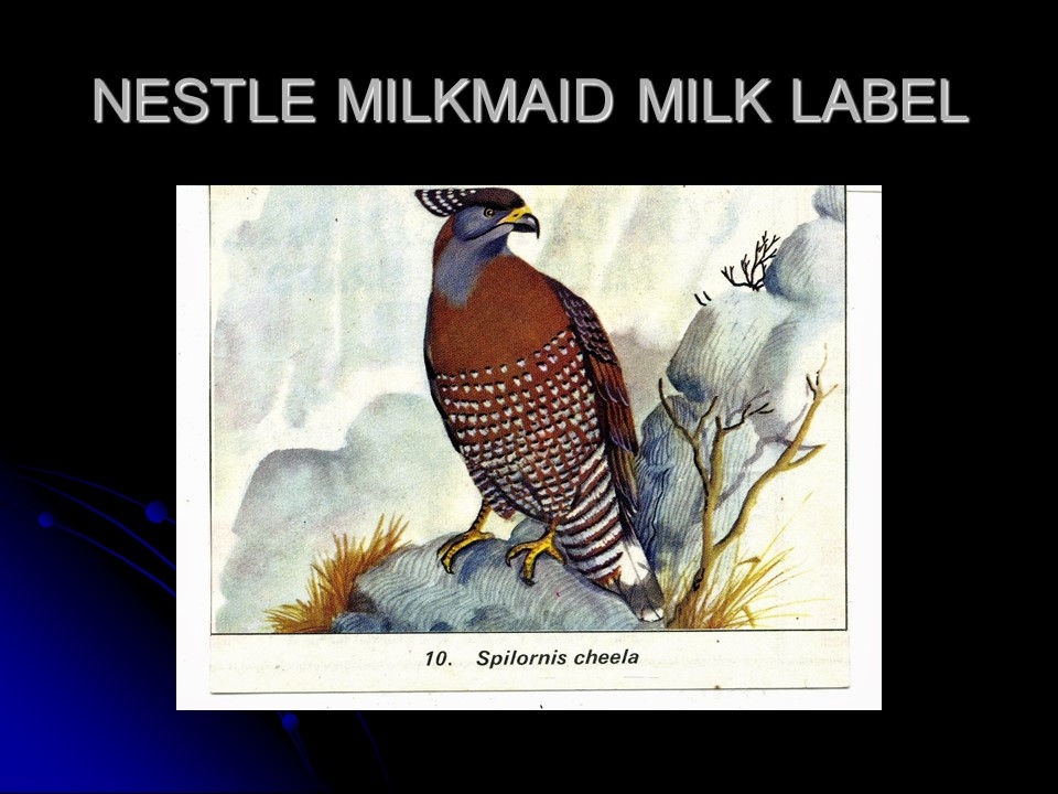 Slide21
