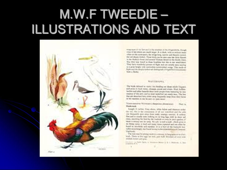 Slide25