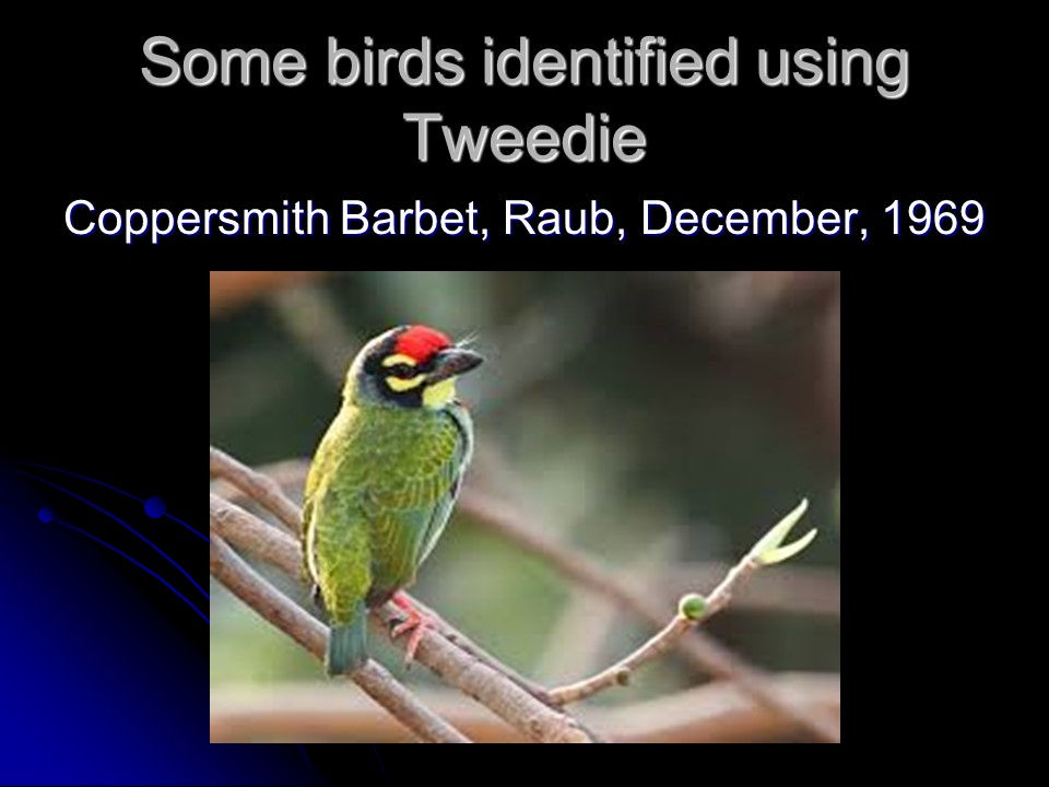 Slide32