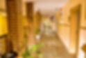 DSC_0091g.jpg