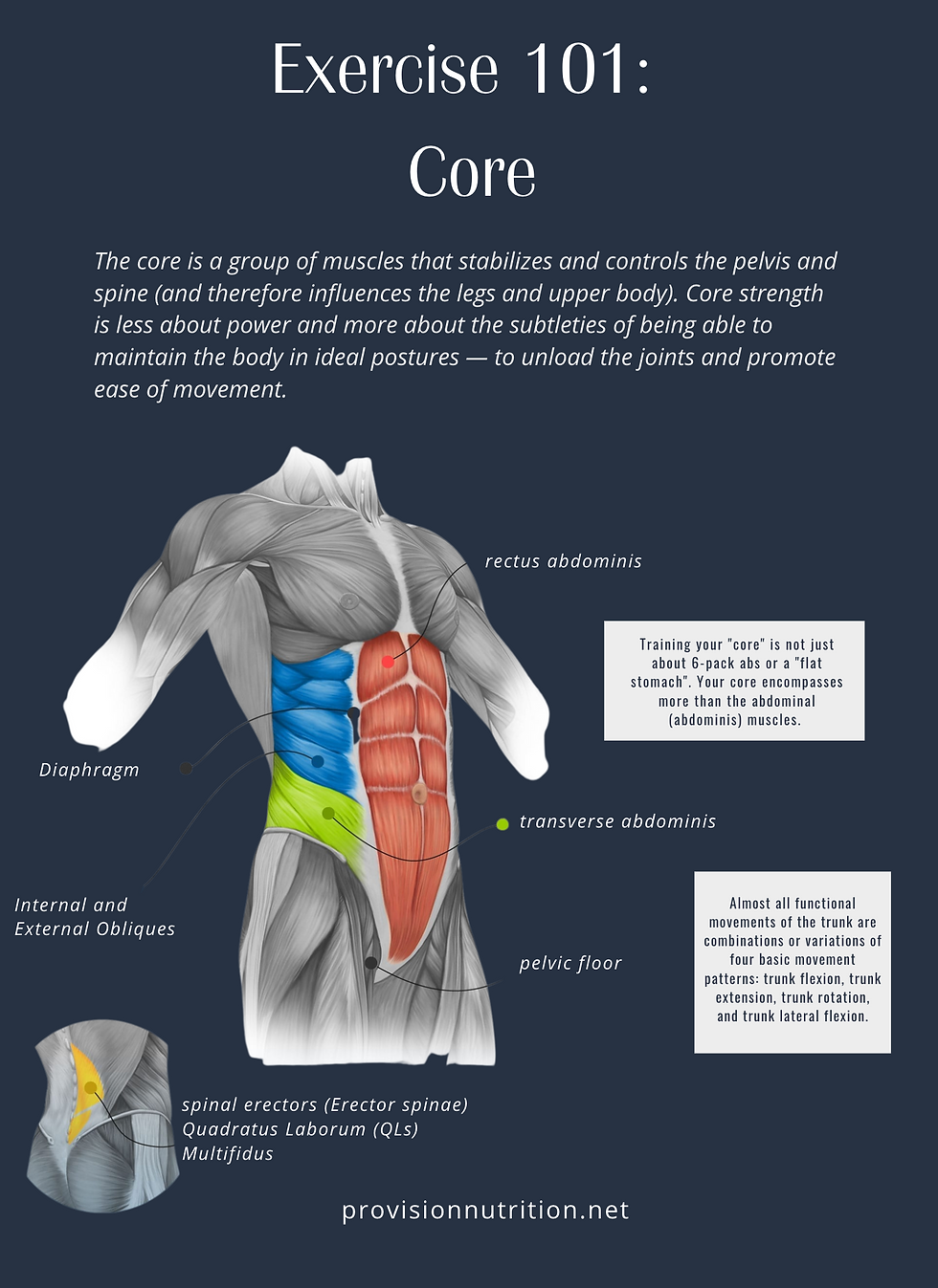 Exercise 101: Core explains the core muscles of the body
