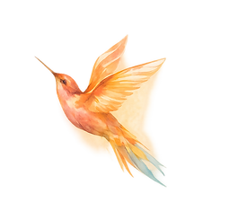Affordable cremation services in Mesa, Arizona 