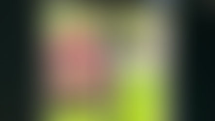 Morgantown, WV Transitional Home Window Tint