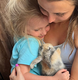 pet rabbits in wv