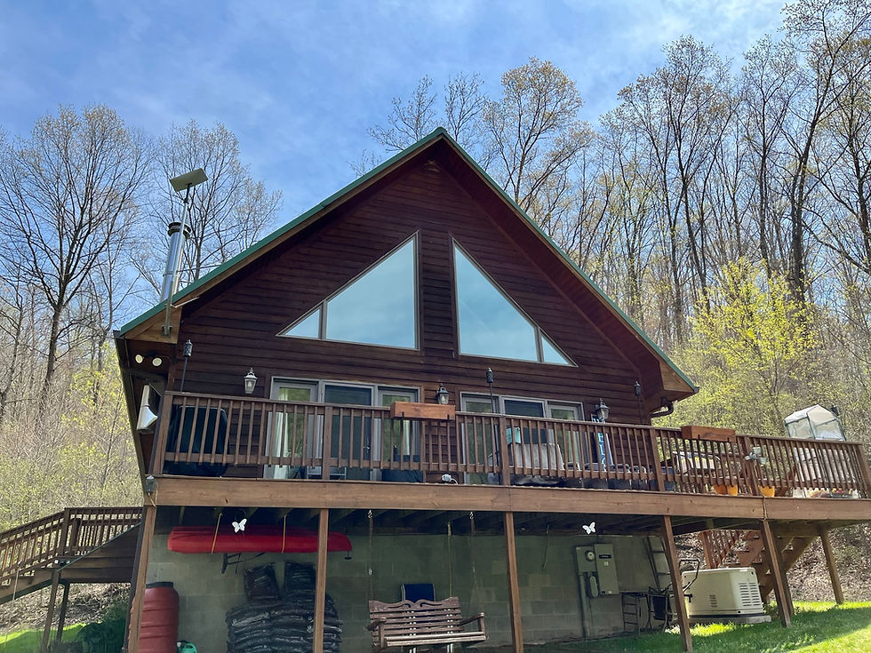 buckhannon wv window tint for home