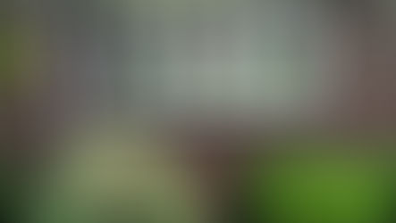 Transform Your Home with Window Tinting: A Comprehensive Guide