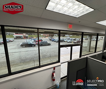 commercial window tint in wv for privacy