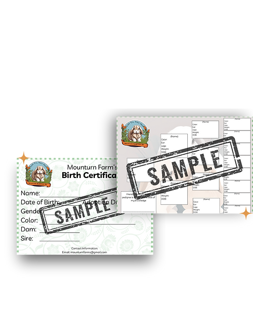Brown Beige Minimalist Freebie Document Mockup Instagram Post.png