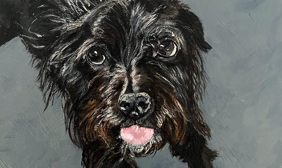 Hand-painted Pet Portrait of Dog Zuki.png