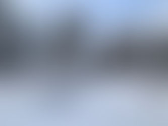 Finding Forest (Gump)