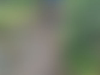 Minnesota Long Goodbye